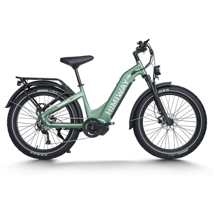 Himiway D5 Pro ST All-terrain Fat Tire Electric Bike Himiway Electric Mountain Bike Green 1