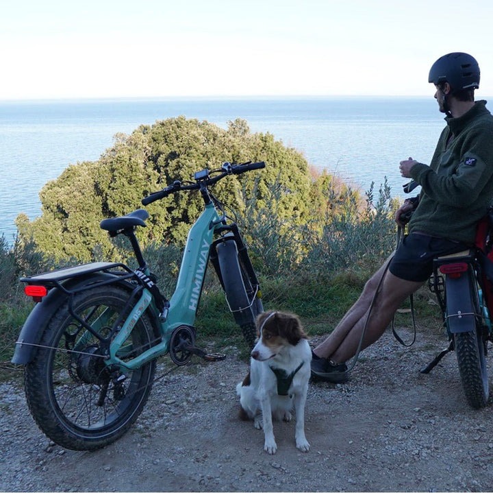 Himiway D5 ST Zebra All Terrain E-Bike Himiway Electric Mountain Bike Space Grey 5