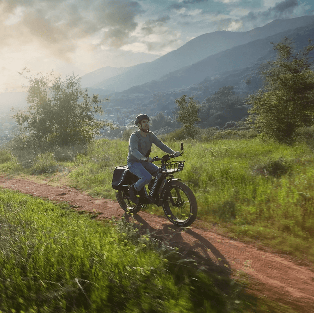 Himiway D5 Zebra All Terrain E-Bike Himiway Electric Mountain Bike White 7