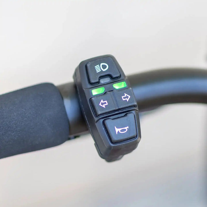 Kaabo Mantis 10 Lite Electric Scooter