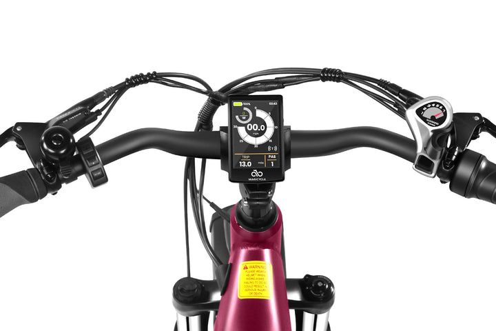 MAGICYCLE Ocelot Pro 2.0 Torque Sensor Fat Tire Electric Bikes Maroon 16