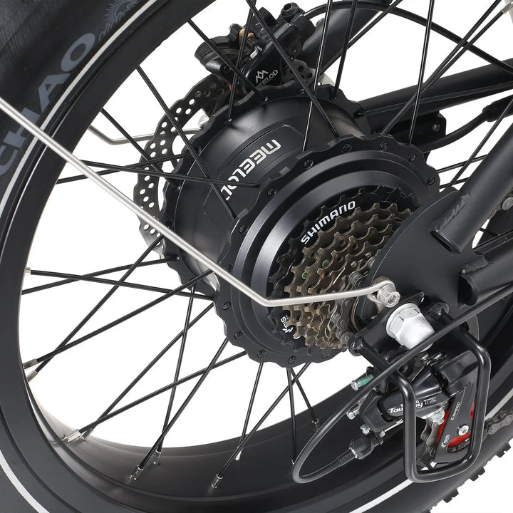 MEELOD DK300PRO Dual Battery Moped Style E-Bike