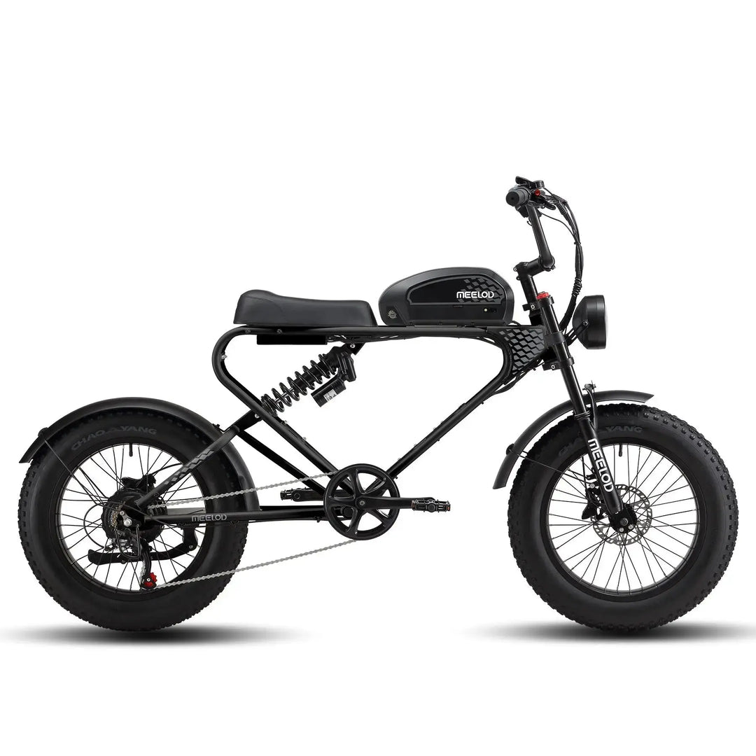 MEELOD DK300PLUS Moped Style E-Bike