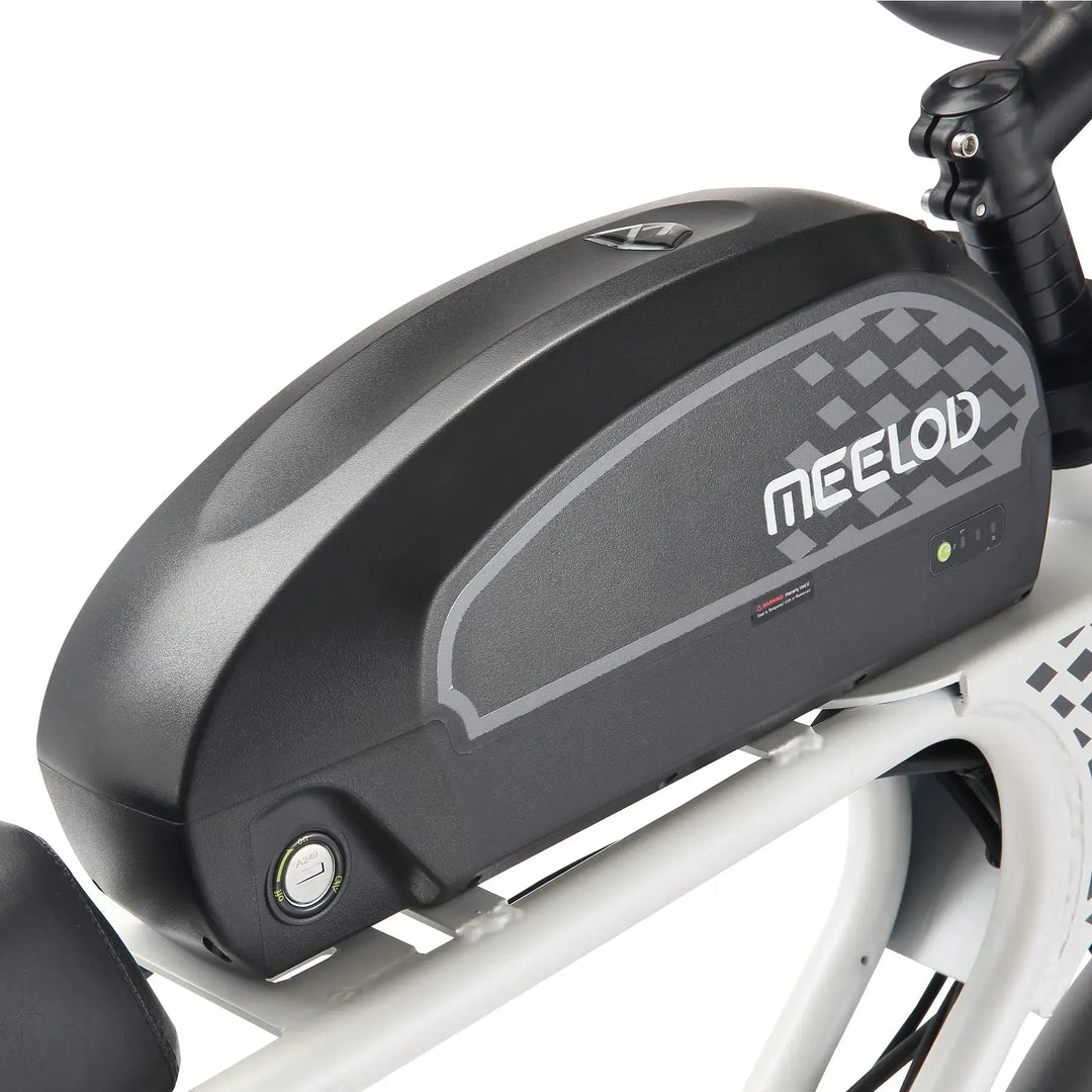 MEELOD DK300PLUS Moped Style E-Bike