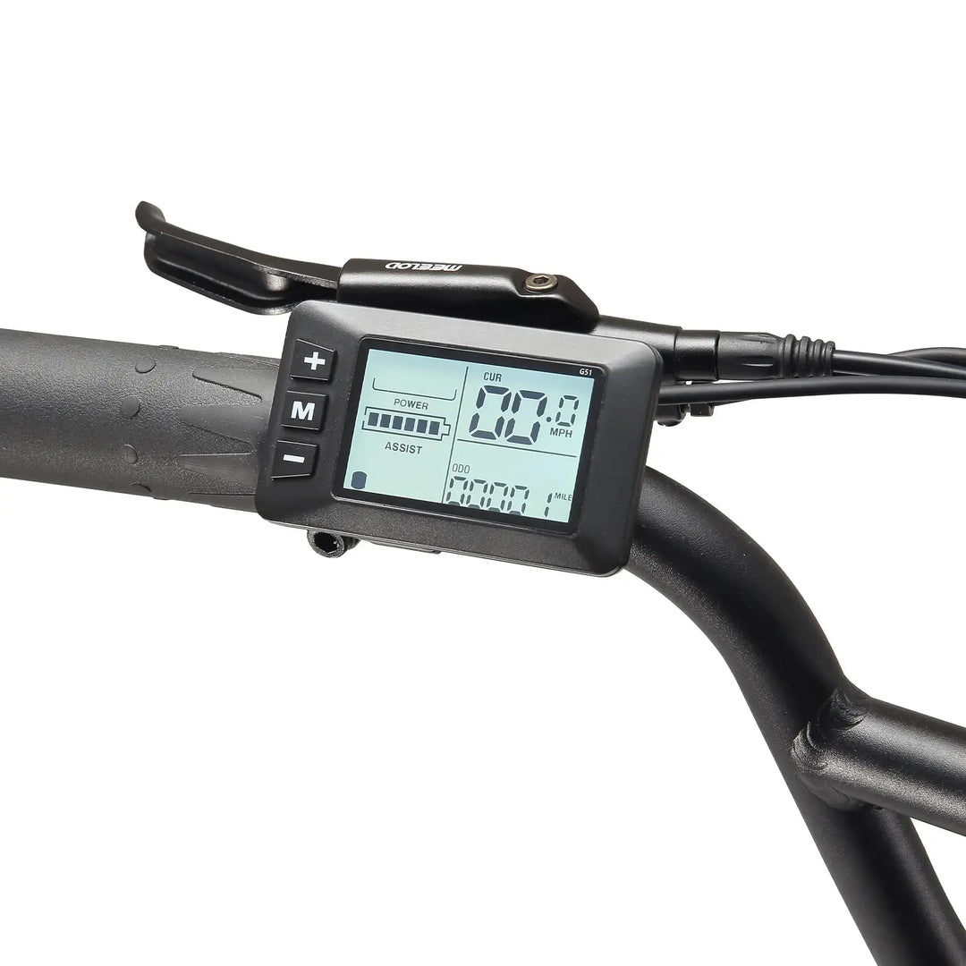 MEELOD DK300PLUS Moped Style E-Bike