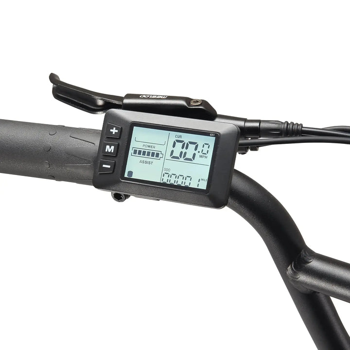 MEELOD DK300PLUS Moped Style E-Bike