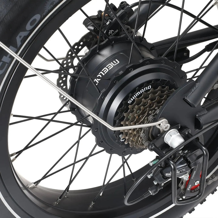 MEELOD DK300PLUS Moped Style E-Bike