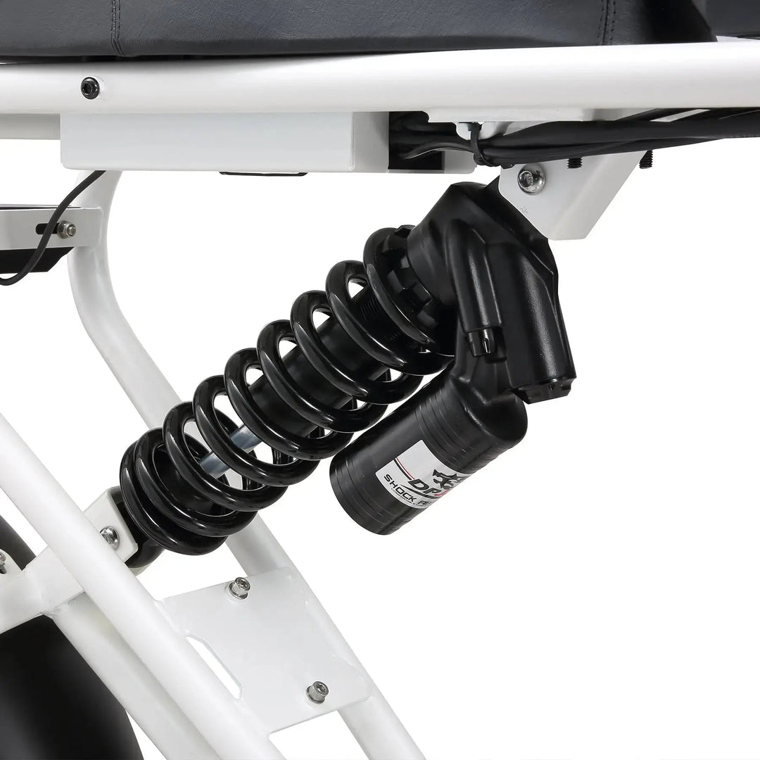 MEELOD DK300PLUS Moped Style E-Bike Moped-Style Electric Bikes Black 5