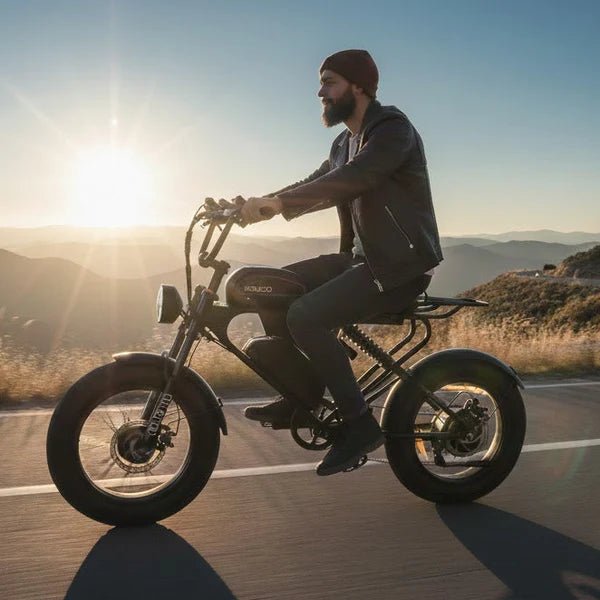 MEELOD DK300PRO Dual Battery Moped Style E-Bike Moped-Style Electric Bikes Black 12