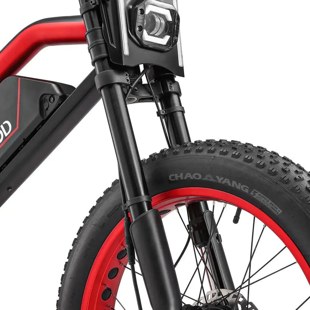 MEELOD XT600DL Dual Motor Moped Style E-Bike Moped-Style Electric Bikes 4