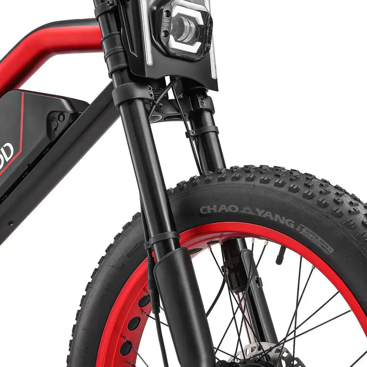 MEELOD XT600DL Dual Motor Moped Style E-Bike Moped-Style Electric Bikes 4