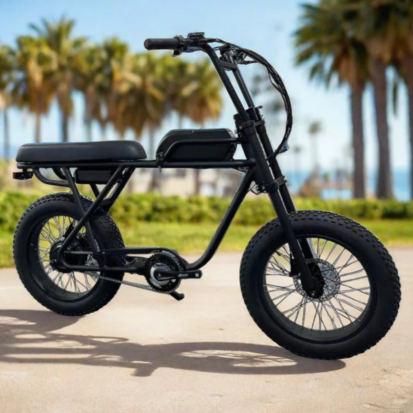 Coastal Cruiser Ripper 2 Fat Tire, 750W, 28 MPH Moto-Style E-Bike - EBike Haul