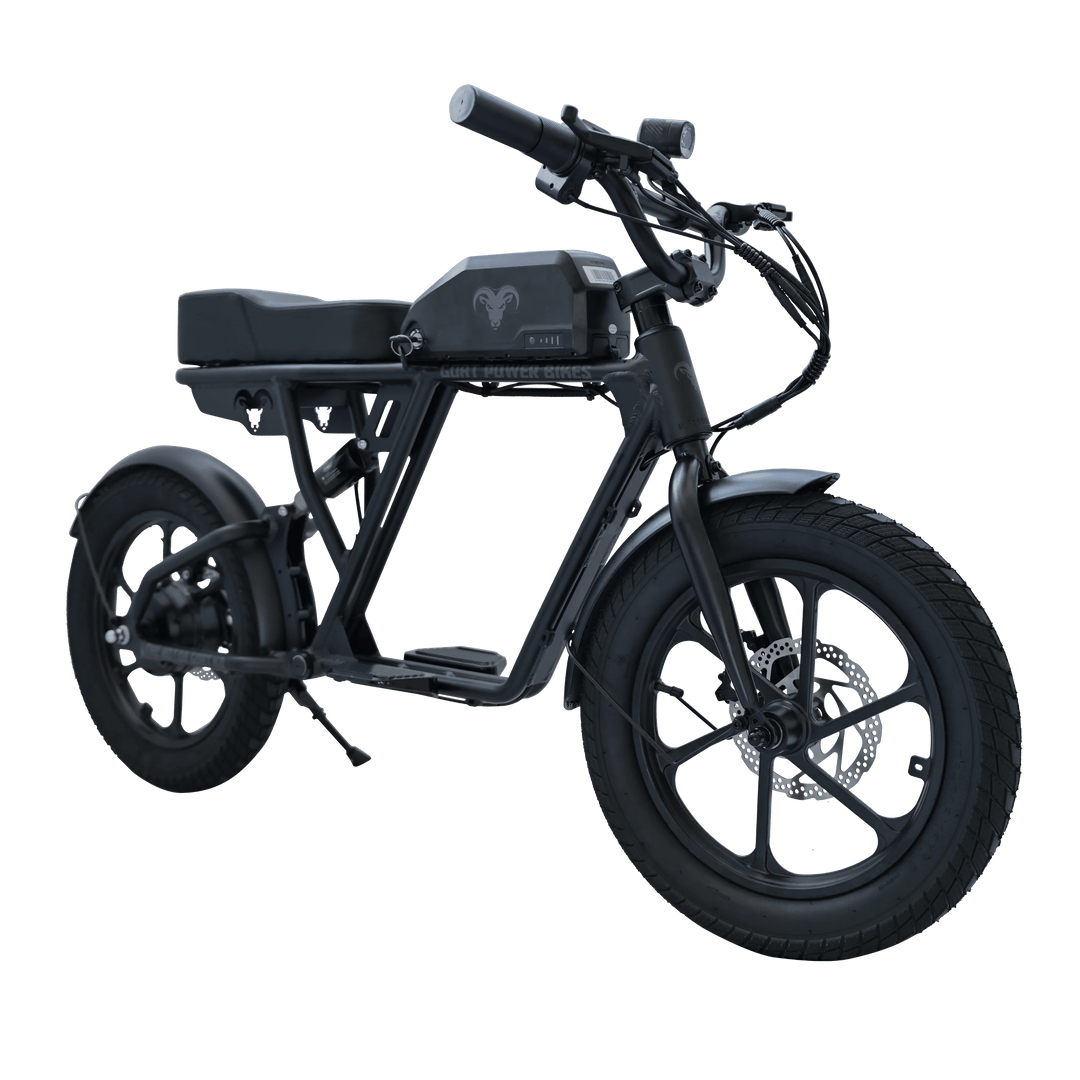 Motor Goat KD Kids Electric Bike Kids Electric Bikes 1