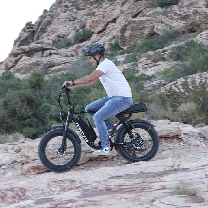 Nakto F2 / Nakto F2 Plus Fat Tire E-Bike Nakto Fat Tire Electric Bikes F2 500W Motor 23