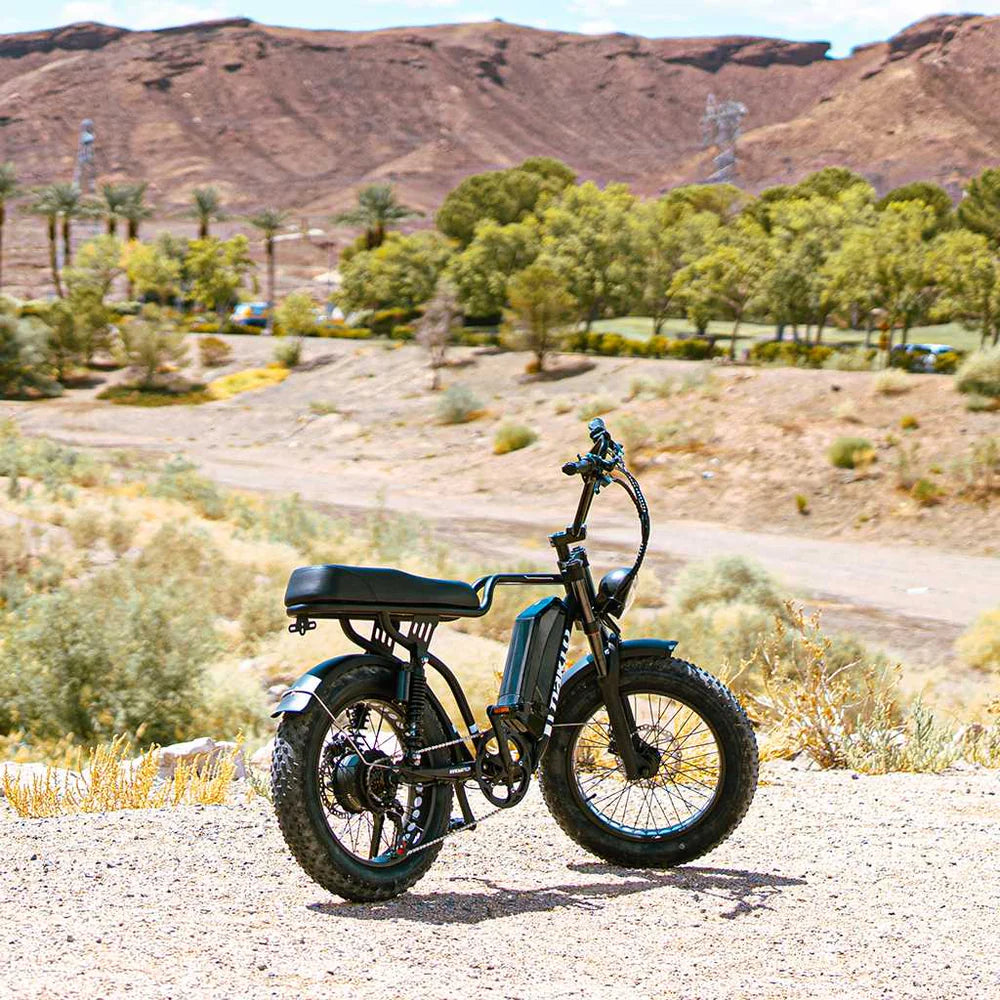 Nakto F2 500W/750W Peak, Dual Suspension, 20" Tires Fat Tire E-Bike