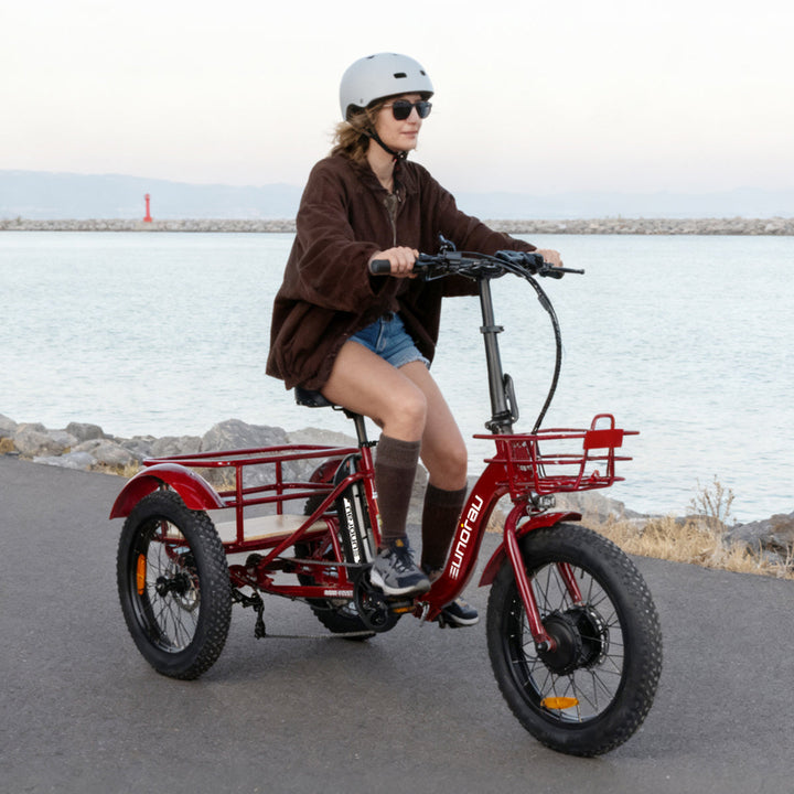 EUNORAU New-Trike 2.0 500W Commuter Foldable ETrike
