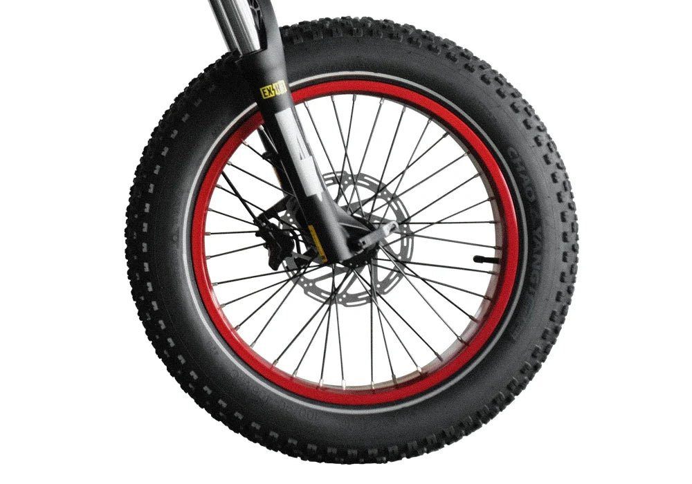 Qiolor Tiger Tire Qiolor Accessories Black Reflective Tire -1 piece(Pre-order) 3