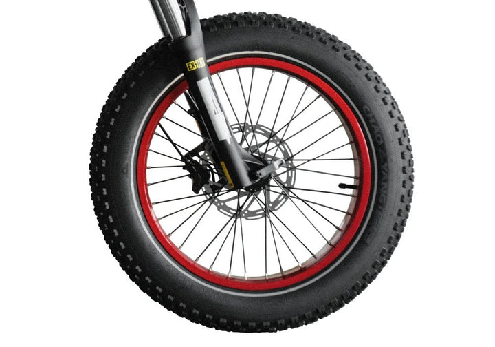 Qiolor Tiger Tire Qiolor Accessories Black Reflective Tire -1 piece(Pre-order) 3