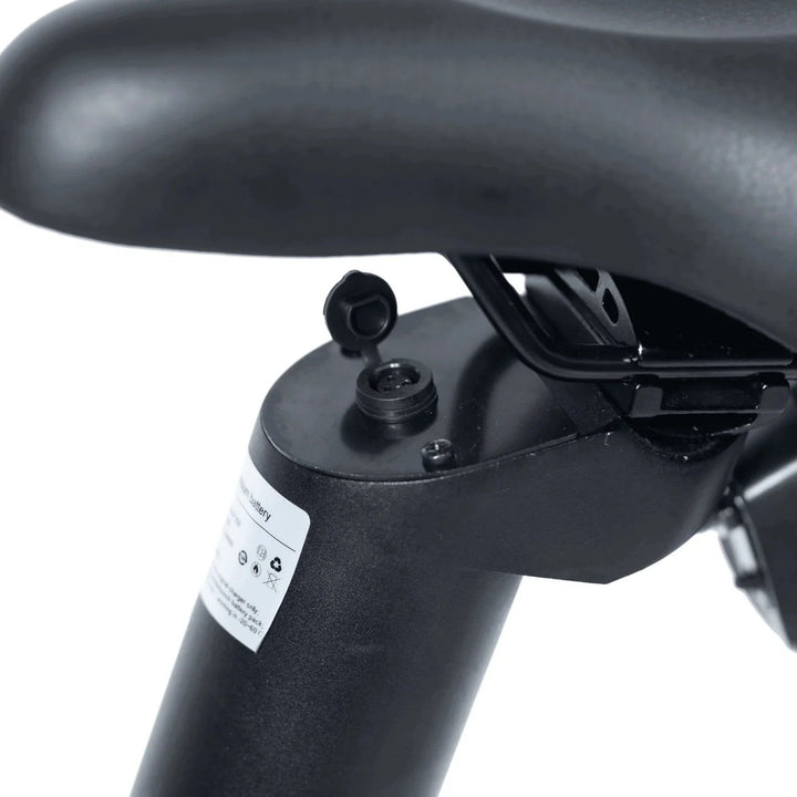 Qualisports 48V Ebike Charger