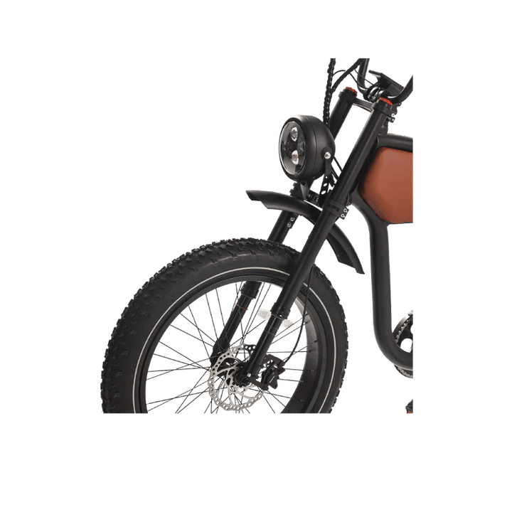 REVI BIKES Cheetah Prowler REVI BIKES Vintage Electric Bikes 6
