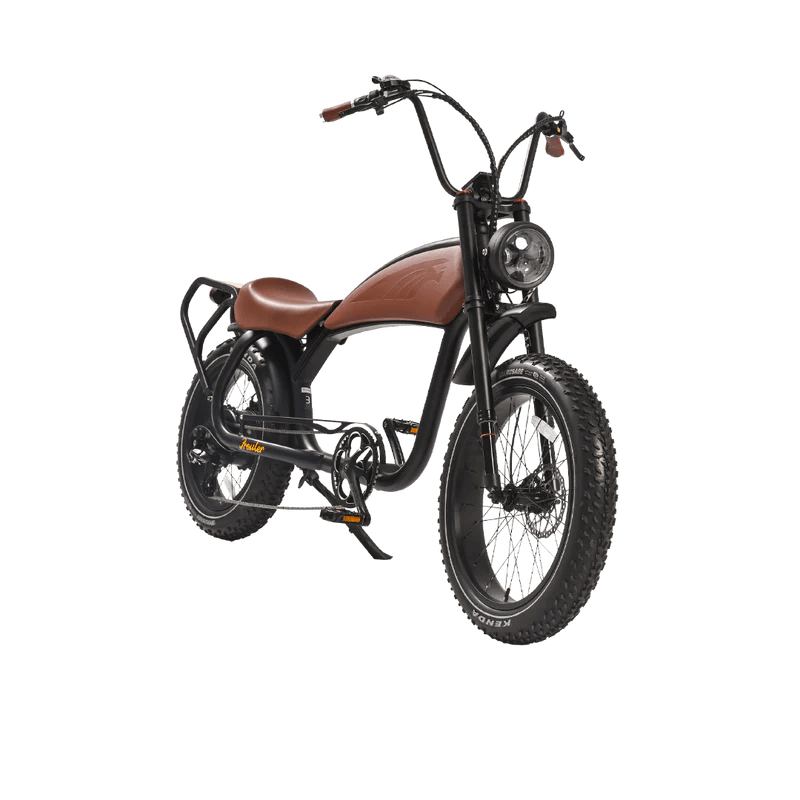 REVI BIKES Cheetah Prowler REVI BIKES Vintage Electric Bikes 3