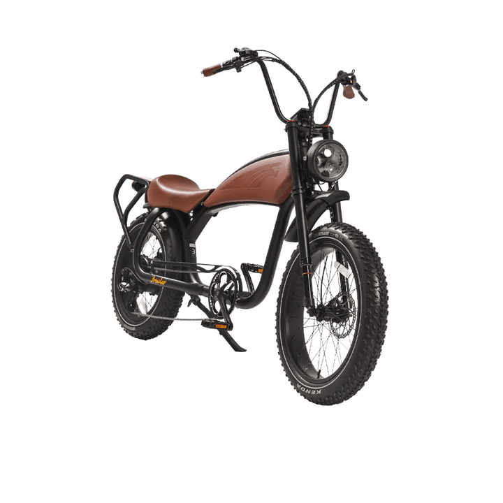 REVI BIKES Cheetah Prowler REVI BIKES Vintage Electric Bikes 3