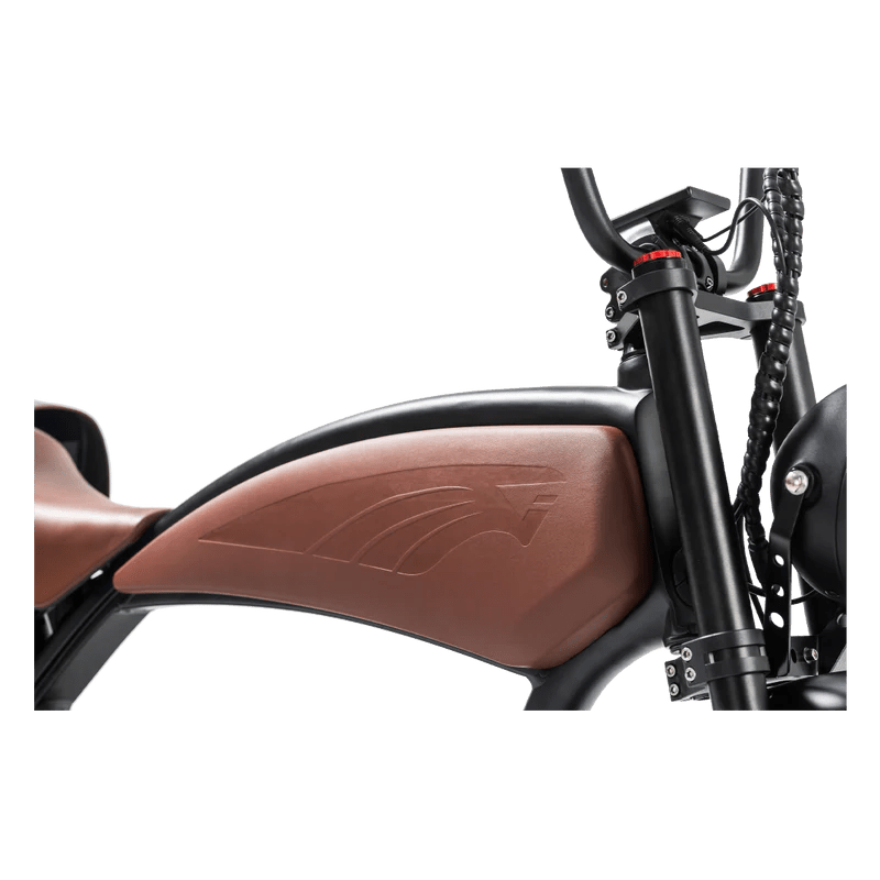 REVI BIKES Cheetah Prowler REVI BIKES Vintage Electric Bikes 4