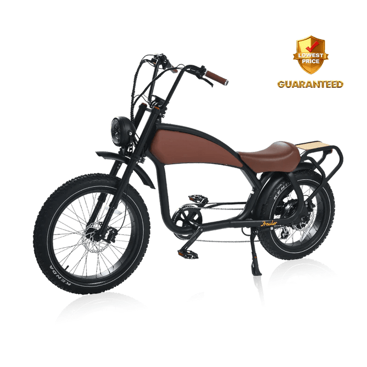 REVI BIKES Cheetah Prowler REVI BIKES Vintage Electric Bikes 13