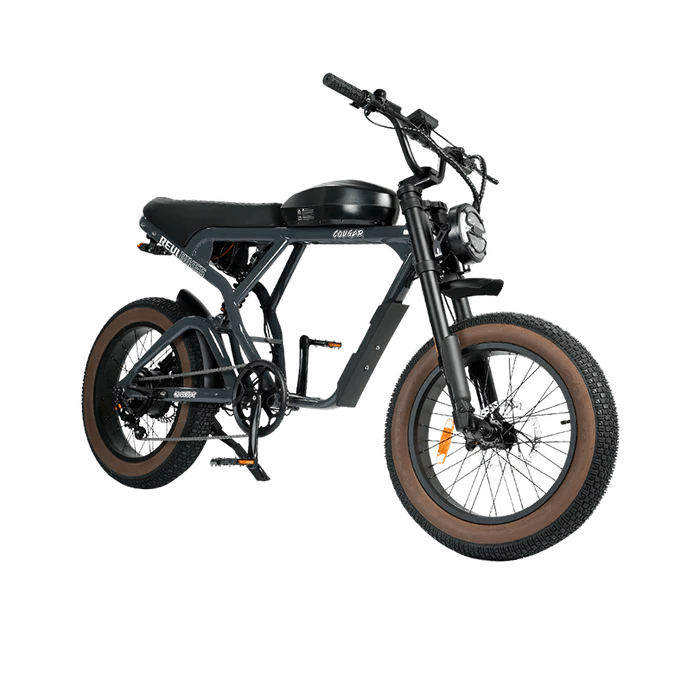 REVI BIKES Cougar/Cougar Pro REVI BIKES Vintage Electric Bikes Cougar 4