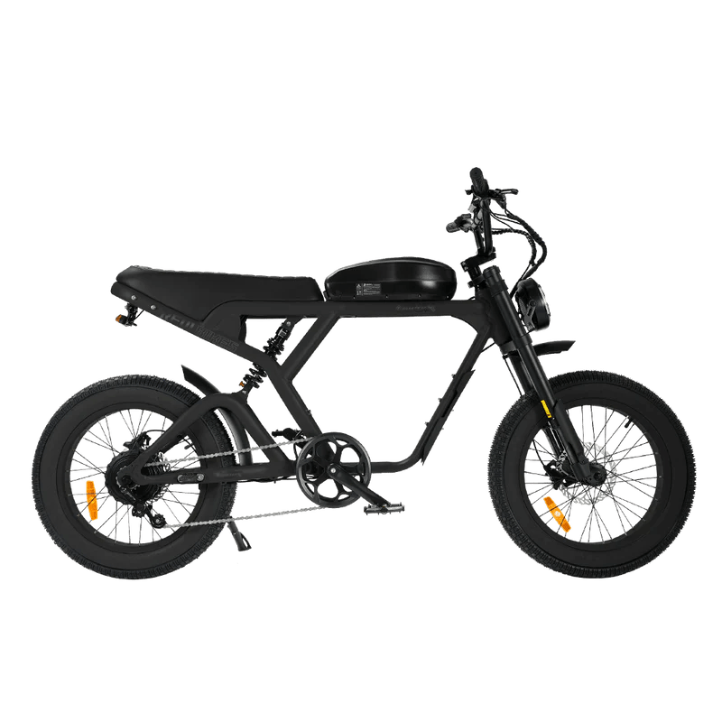 REVI BIKES Cougar/Cougar Pro REVI BIKES Vintage Electric Bikes Cougar 15