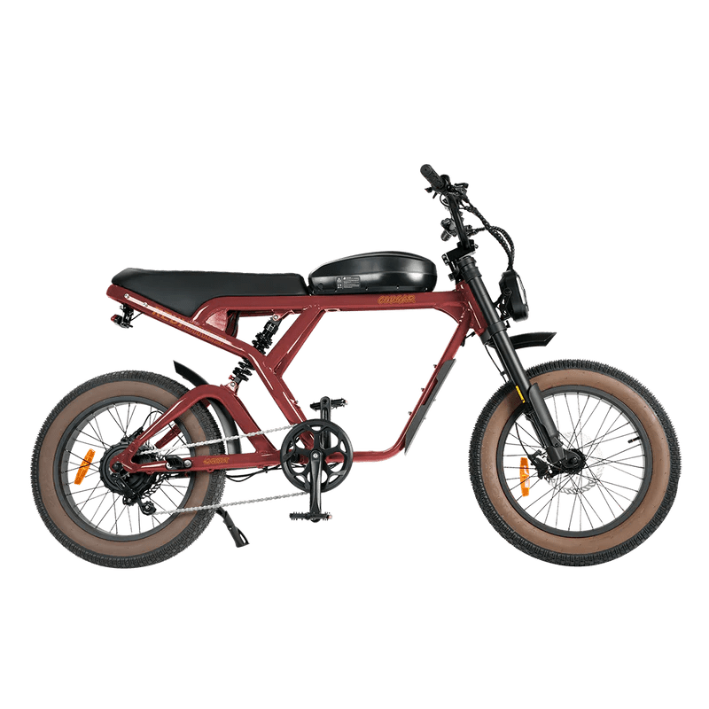 REVI BIKES Cougar/Cougar Pro REVI BIKES Vintage Electric Bikes Cougar 14