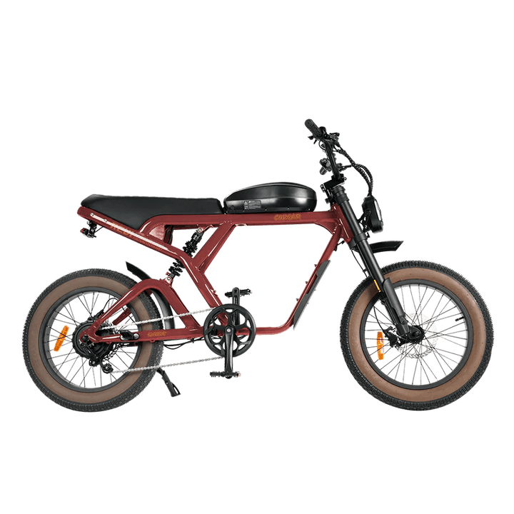 REVI BIKES Cougar/Cougar Pro REVI BIKES Vintage Electric Bikes Cougar 14