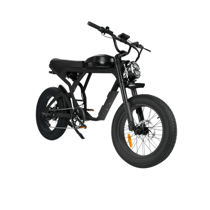 REVI BIKES Cougar/Cougar Pro REVI BIKES Vintage Electric Bikes Cougar 13