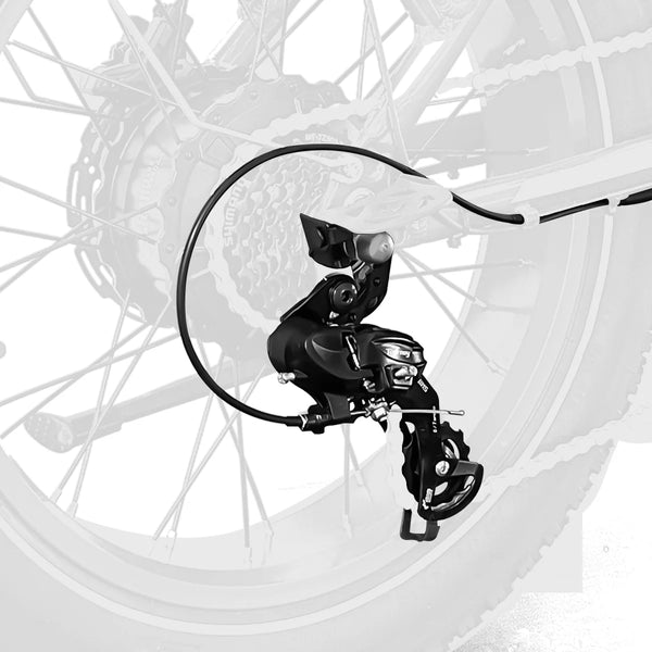 Shimano 7-Speed Drivetrain