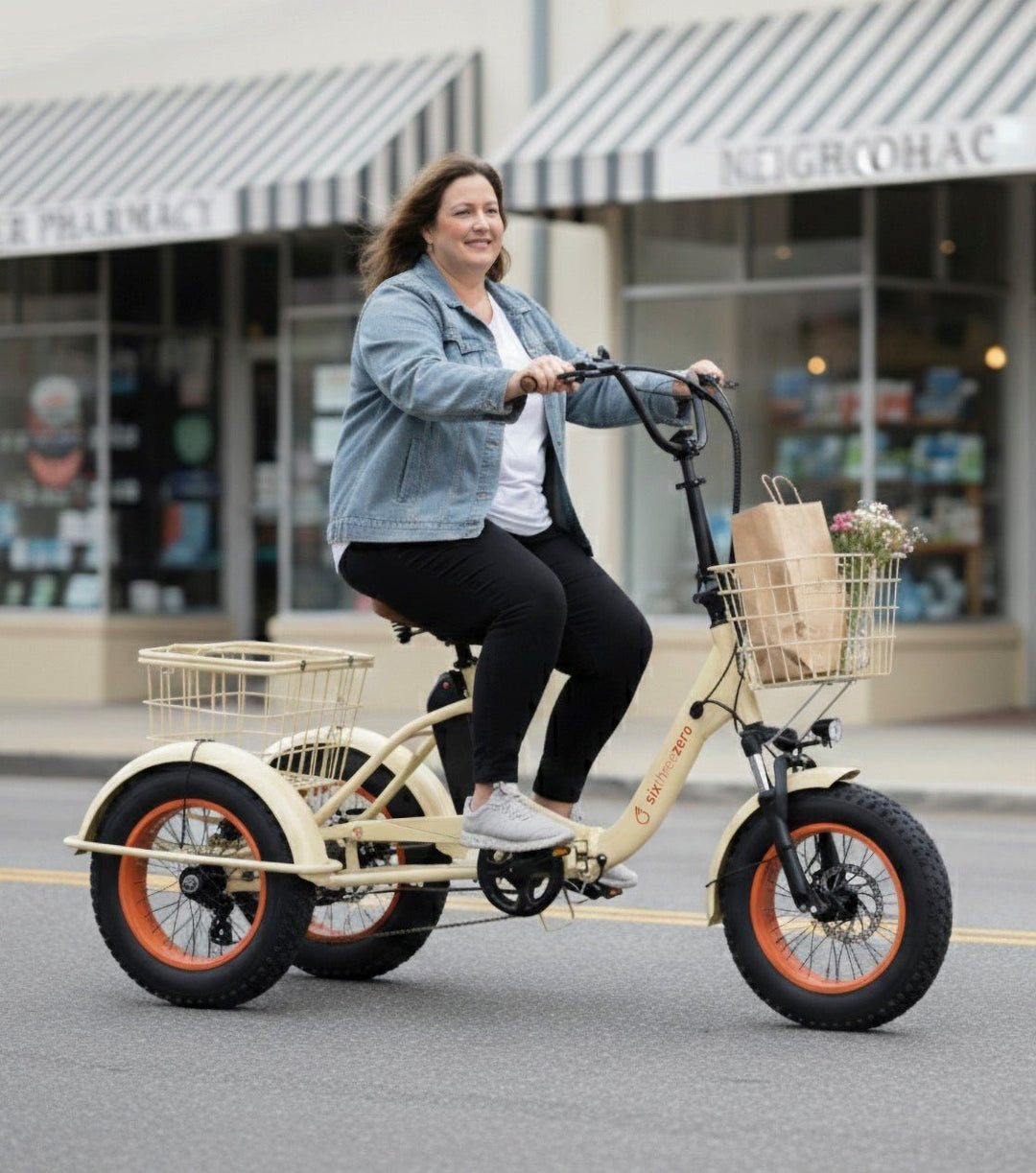 Sixthreezero Easy Transit 750W Fat Tire Electric Trike Folding Electric Trikes 9