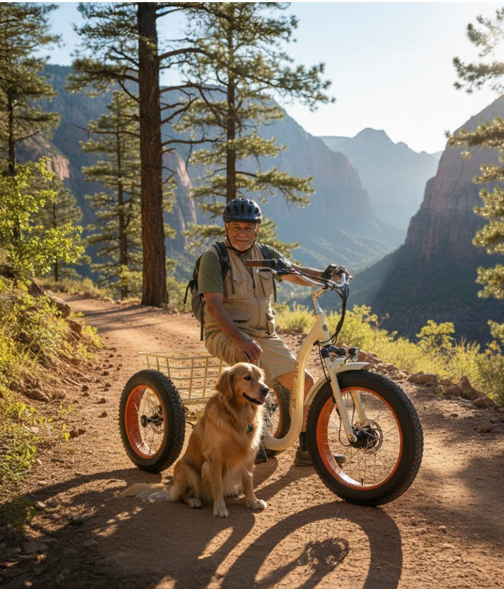 Sixthreezero Simple 3 Wheel Step Thru FAT Tire E-Bike Fat Tire Electric Trikes 8
