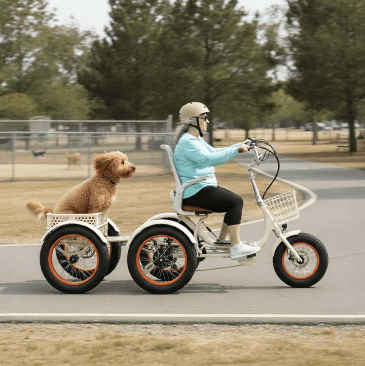 Sixthreezero Simple Glide 750W Recumbent E Trike w/ Footrest & Hitch Connector Recumbent E-Trikes 8