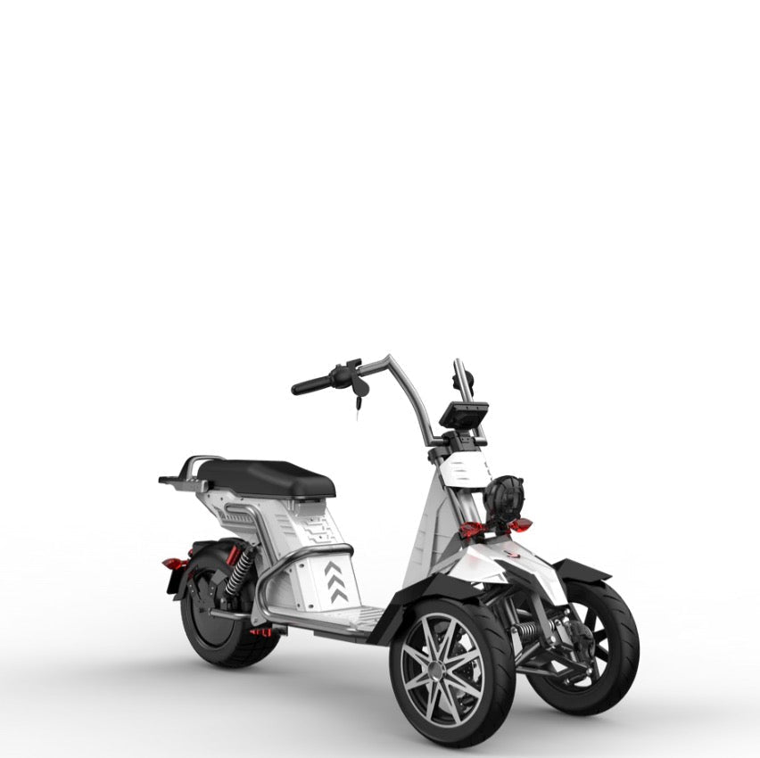 SoverSky T100 4000w Three Wheeled Motorcyle E-Trike 50Ah Li-Battery SoverSky Chopper Scooters Blue 9