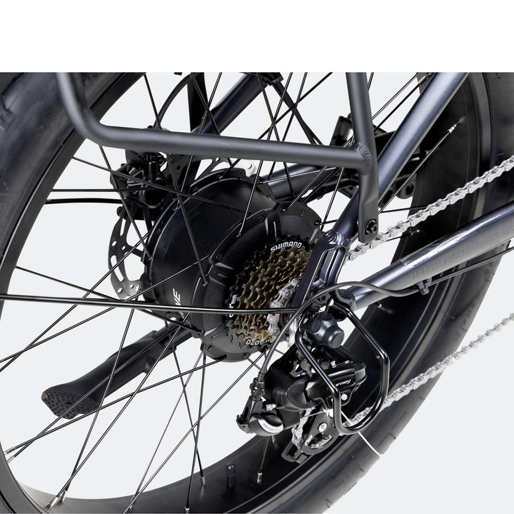 Velowave Ranger 3.0 Fat Tire All-Terrain E-Bike Velowave Fat Tire Electric Bikes Silver 8