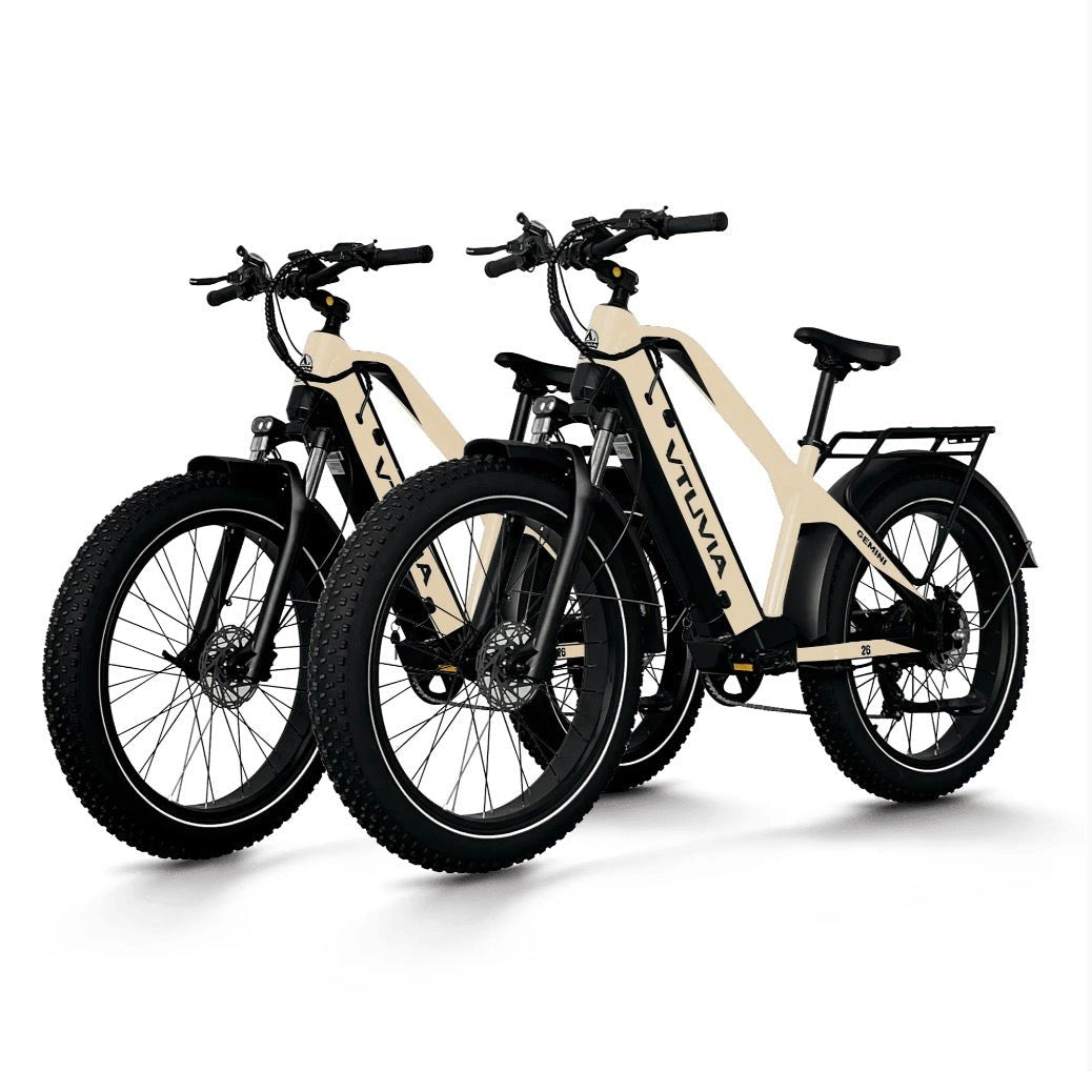 VTUVIA| Gemini Cruiser 1000W Motor EBike Combo