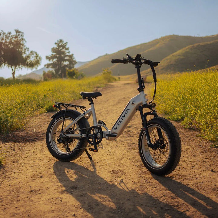 VTUVIA SX20 Folding E-Bike VTUVIA Folding Electric Bikes Silvery 18