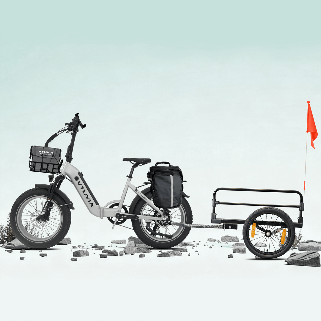 VTUVIA SX20 Folding Ebike Combo Folding Electric Bikes Silvery x2 20