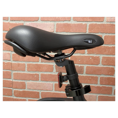 AmericanElectric AmericanElectric| RAVEN Matt Black Step-Thru Commuter Electronic Bike - eBike Haul