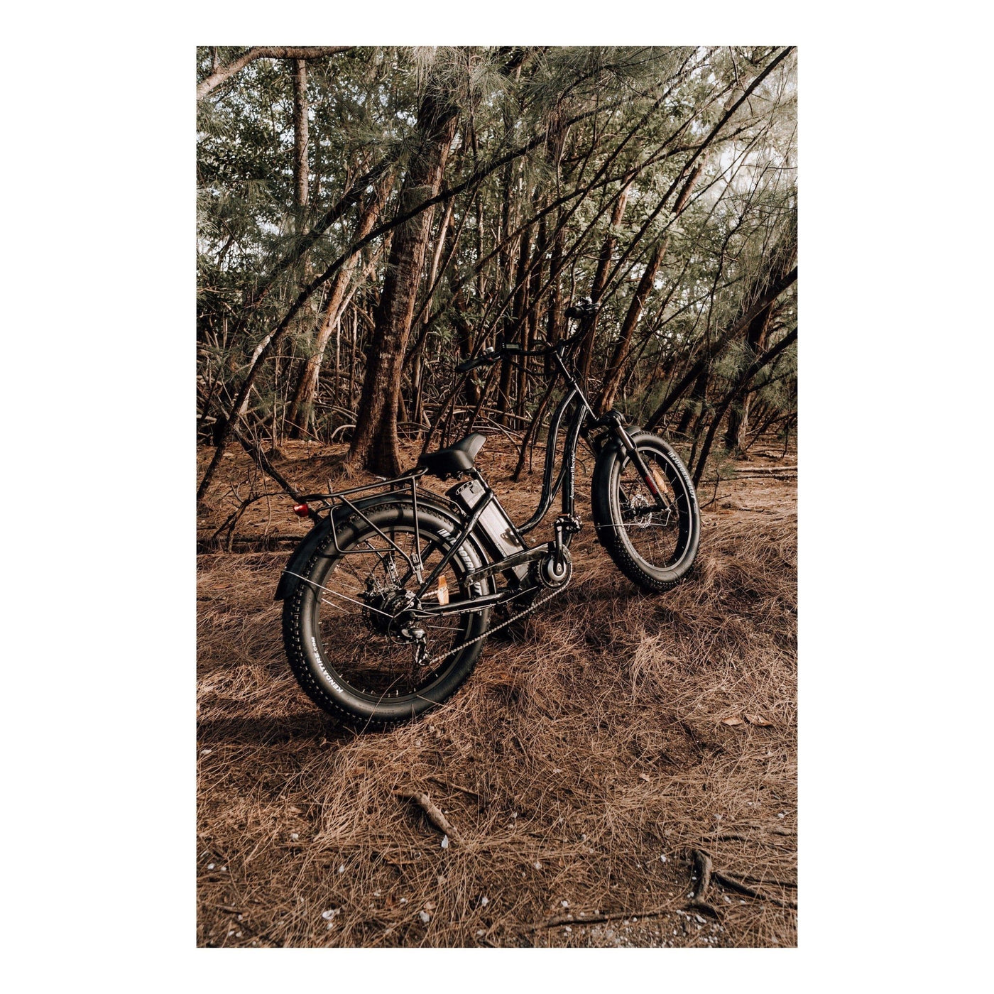 AmericanElectric AmericanElectric| STELLER 2023 Step-Through Fat Tire, All Terrine,Cruiser Electric Bike - eBike Haul