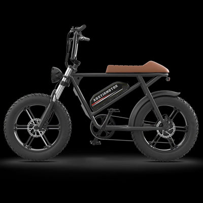 AOSTIRMOTOR AOSTIRMOTOR|Storm Super Cool 750W 48V 12.5Ah Moped Style Electric Bike - eBike Haul