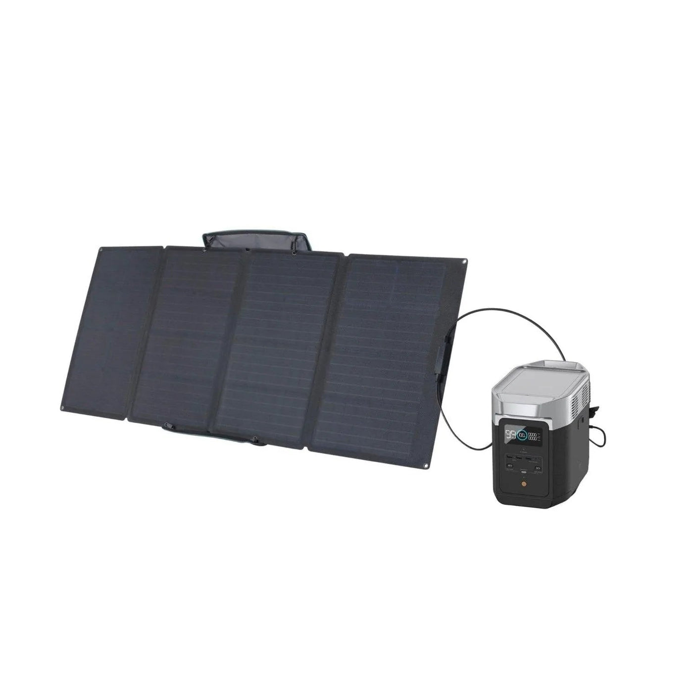 EcoFlow EcoFlow DELTA 2 + 110W Portable Solar Panel Solar Generator - eBike Haul