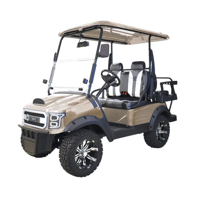 MASSIMO Massimo GMF2X Powerful Electric Golf Cart - eBike Haul