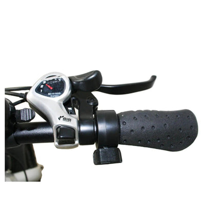 Glion Glion| B1 500W Fat Tire Folding Electric Bike - eBike Haul