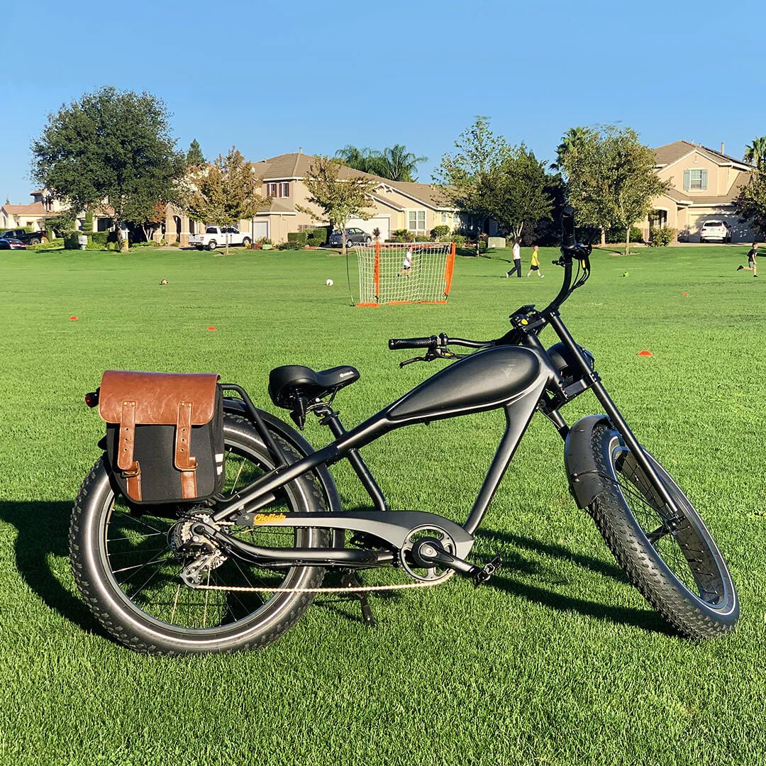 Revi Bikes Cheetah