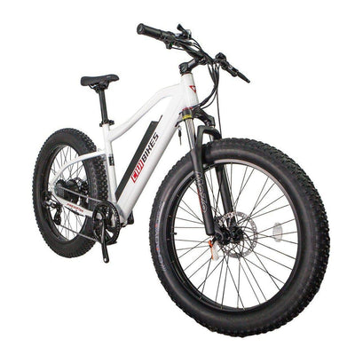 REVI BIKES REVIBIKE|Predator City 750W Fat Tire Electric Bike - eBike Haul